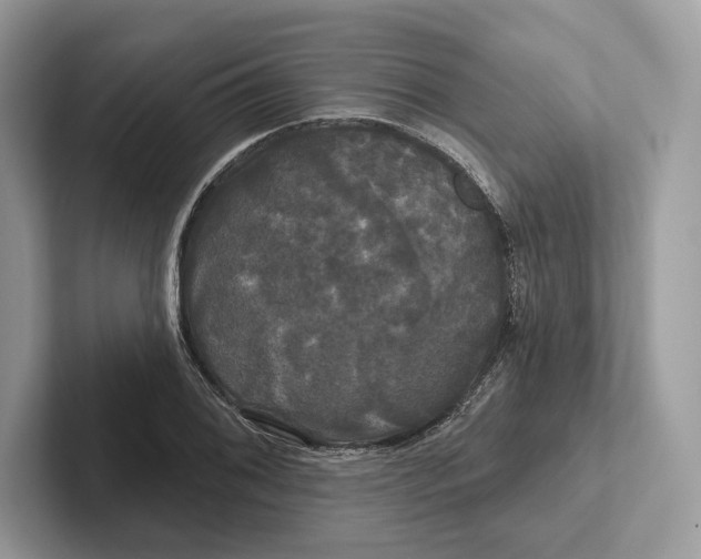 X0000100921076200807221111