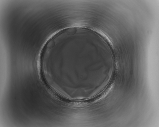 X0000100921077200807221111