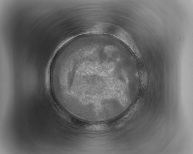X0000100921078200807221111