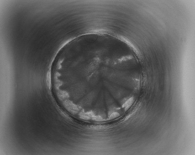 X0000100921079200807221111