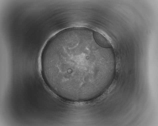 X0000100921080200807221111