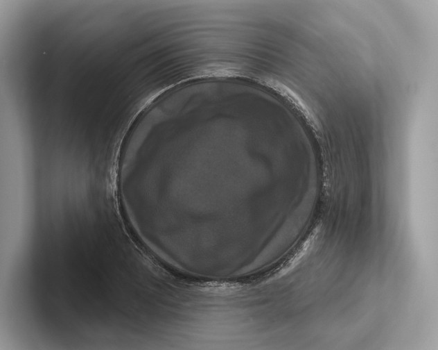 X0000100921081200807221111