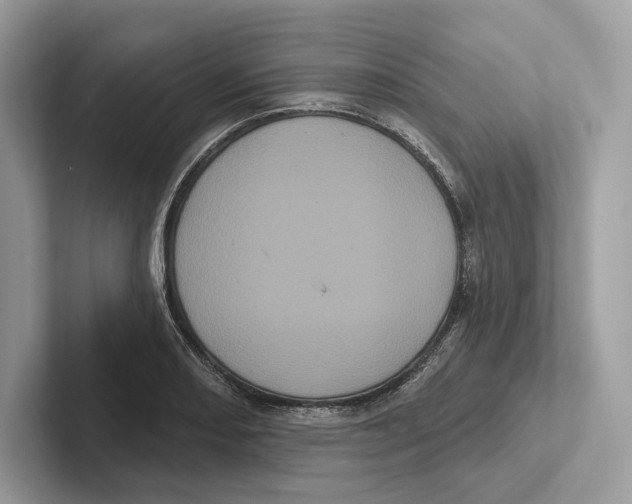 X0000100921082200807221111