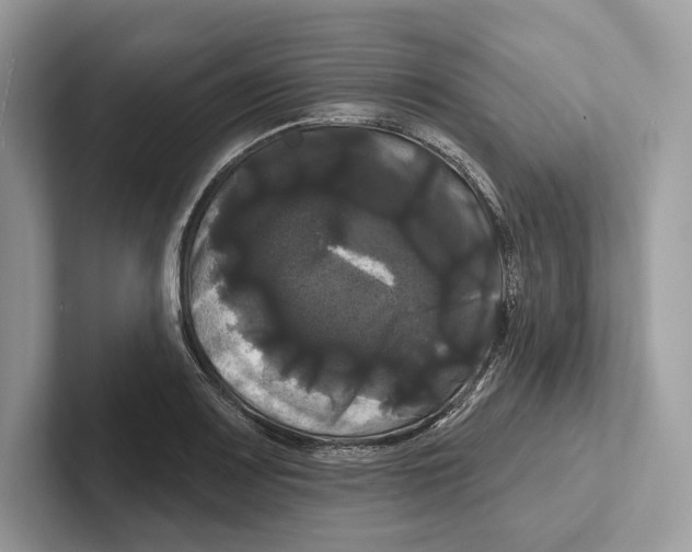 X0000100921083200807221111