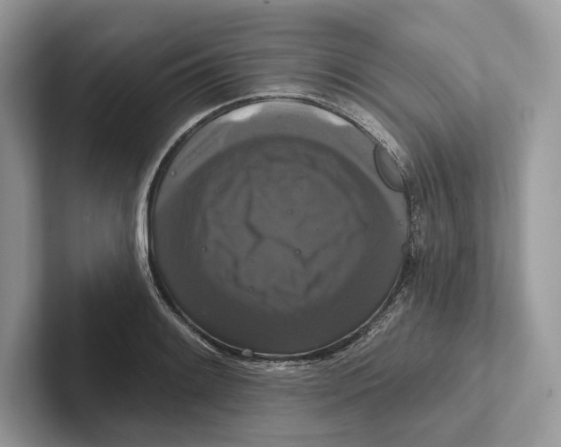 X0000100921084200807221111