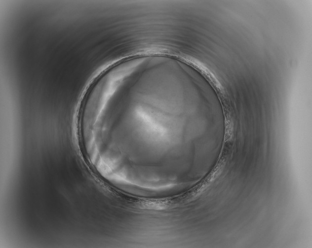 X0000100921086200807221111