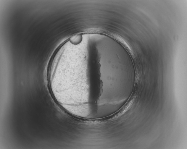 X0000100921087200807221111