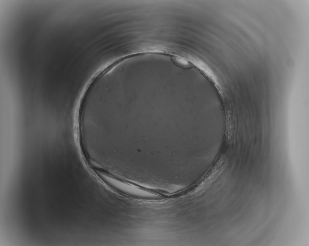 X0000100921088200807221111