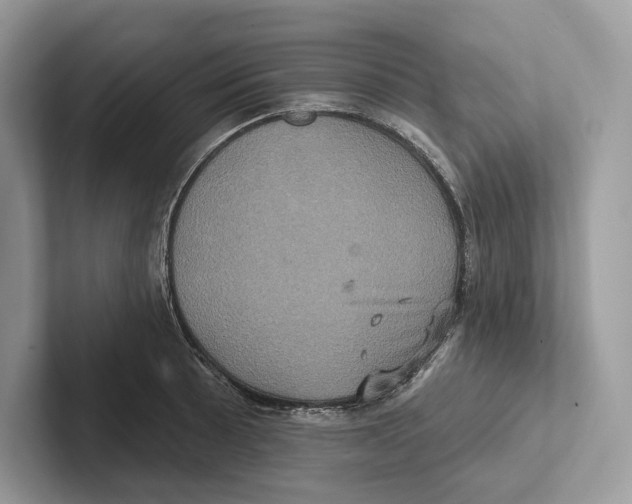 X0000100921089200807221111