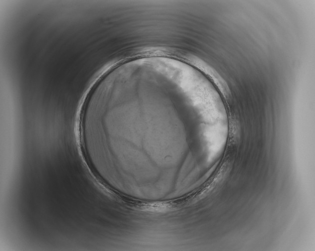 X0000100921090200807221111