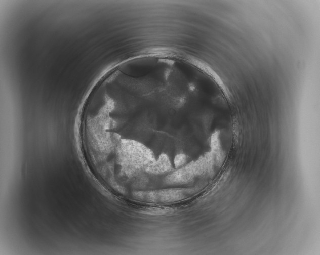 X0000100921091200807221111