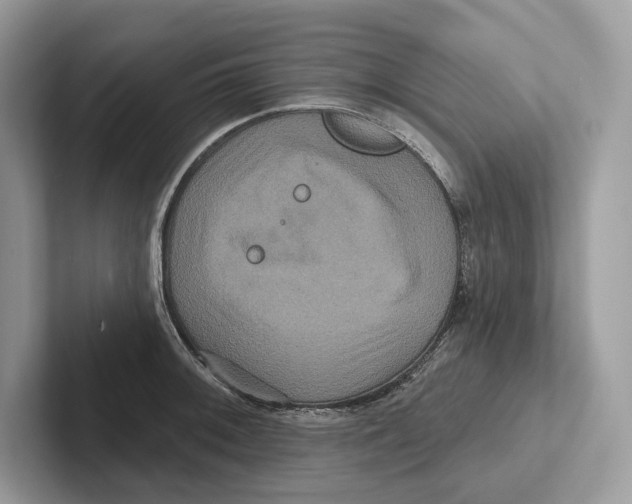 X0000100921092200807221110