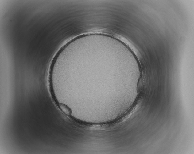 X0000100921093200807221110