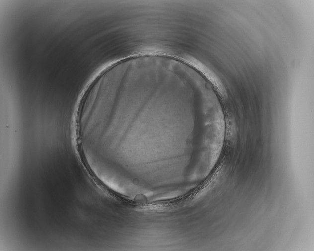 X0000100921094200807221110