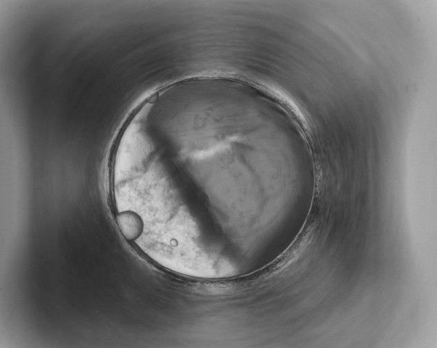 X0000100921095200807221110