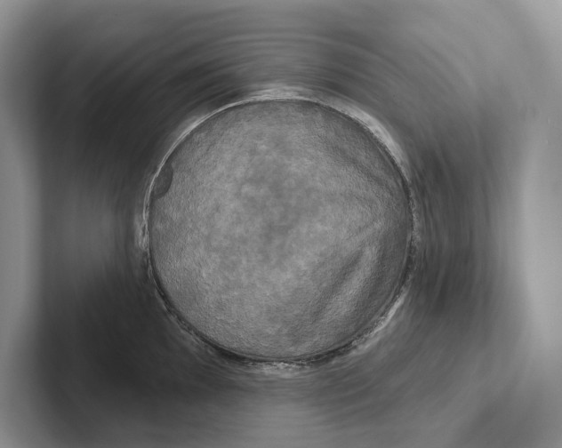 X0000100921097200807221110