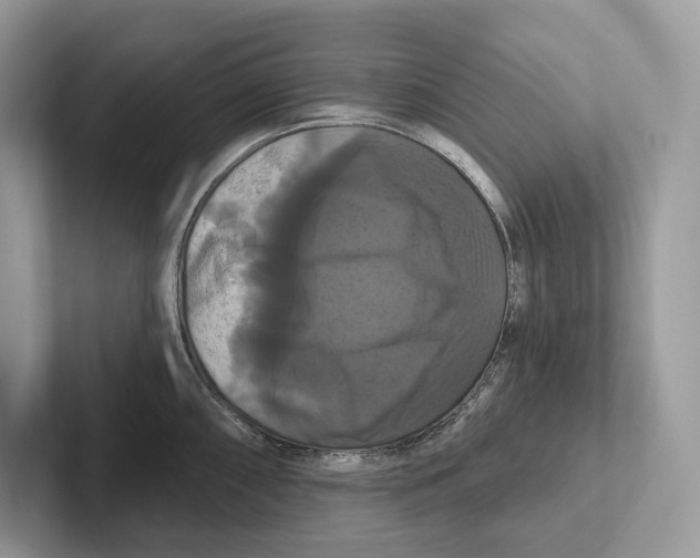 X0000100921098200807221110