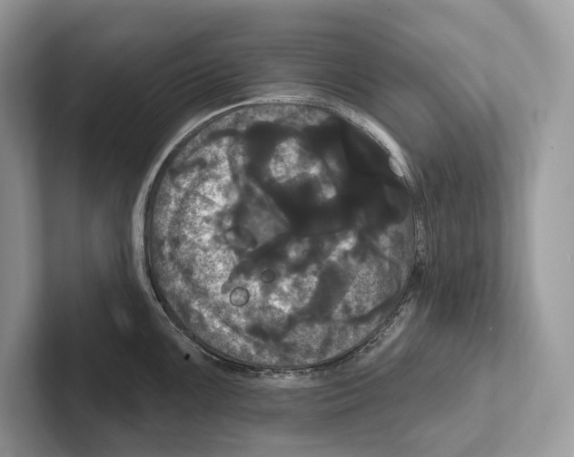 X0000100921099200807221110
