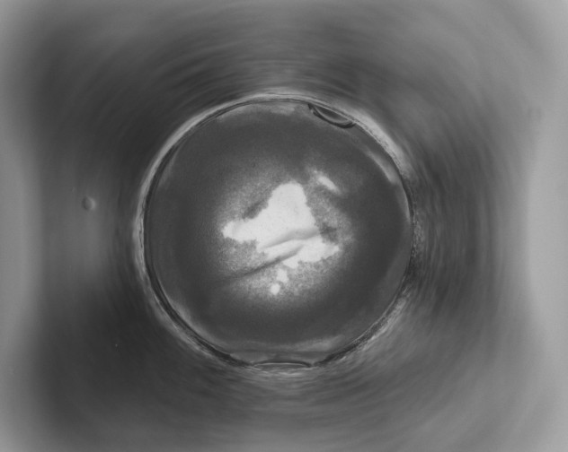 X0000100921100200807221110
