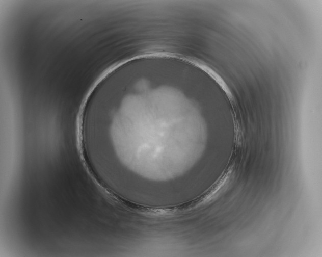 X0000100921101200807221110