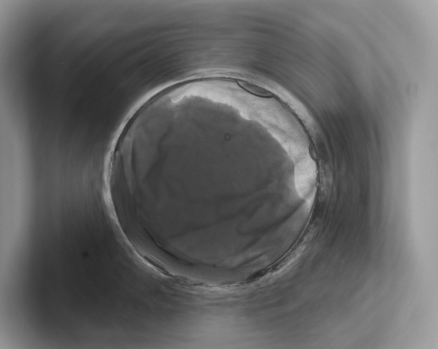 X0000100921102200807221110