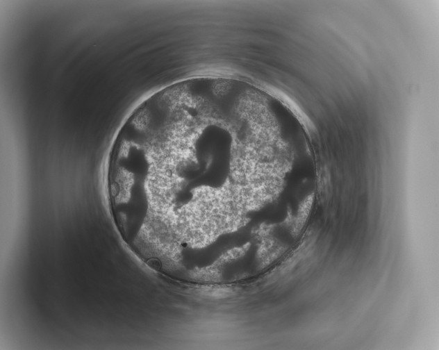 X0000100921103200807221110