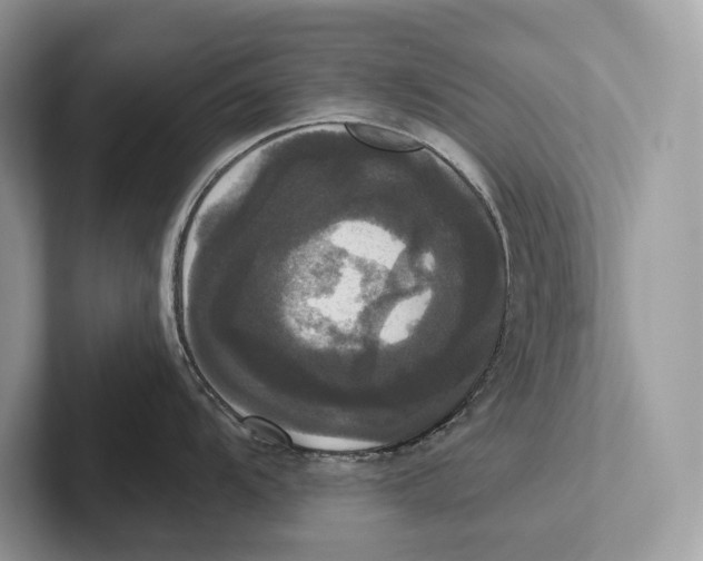 X0000100921104200807221110