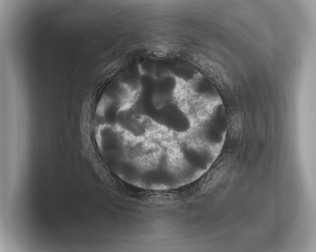 X0000100921105200807221110
