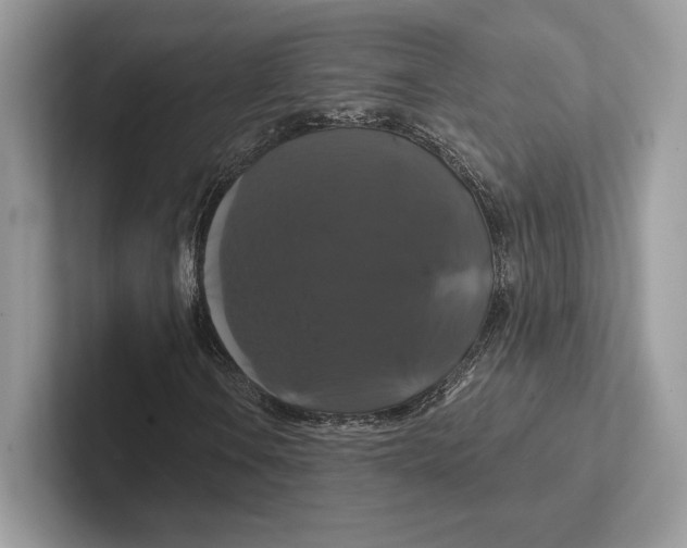 X0000100921106200807221110
