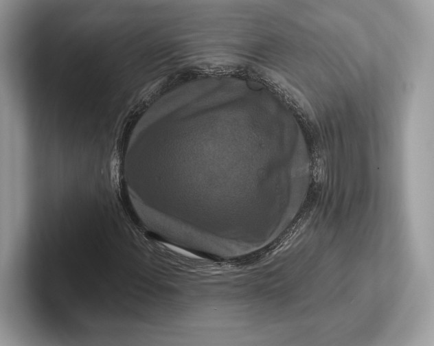 X0000100921108200807221110
