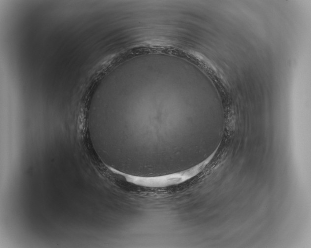 X0000100921110200807221110