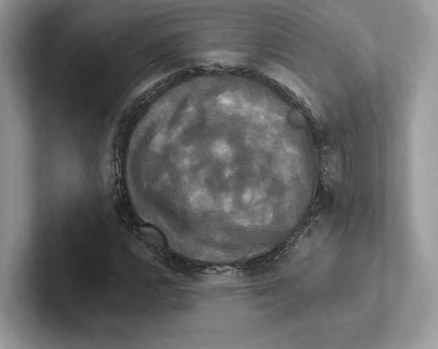 X0000100921112200807221110