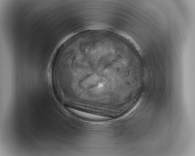 X0000100921114200807221110