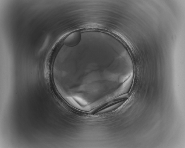 X0000100921115200807221110