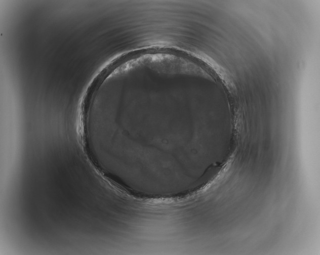 X0000100921118200807221110