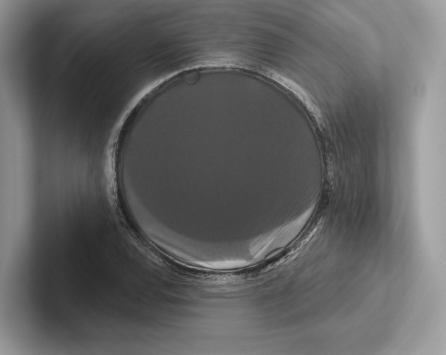 X0000100921120200807221110