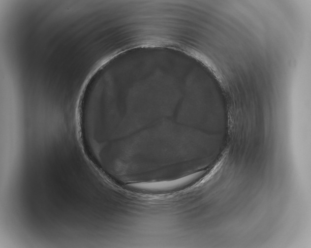X0000100921122200807221110