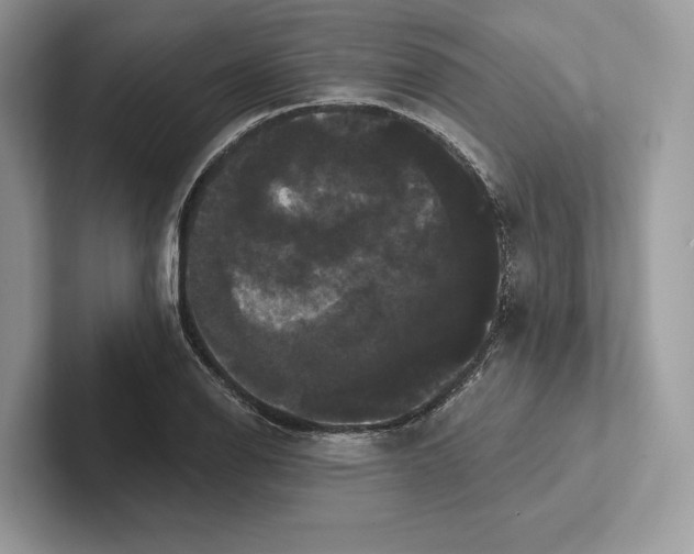 X0000100921126200807221110