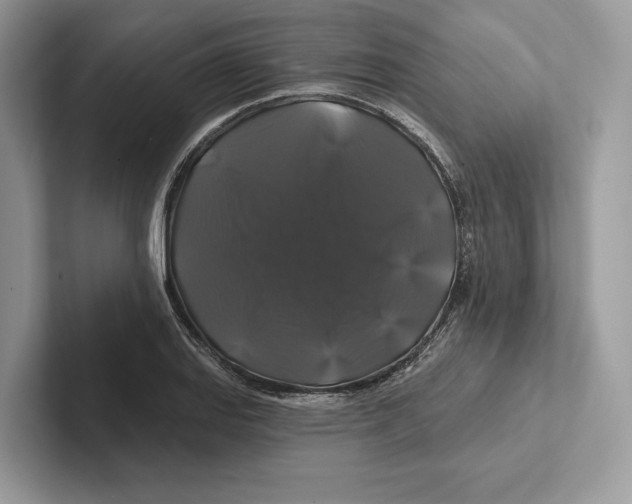 X0000100921127200807221110