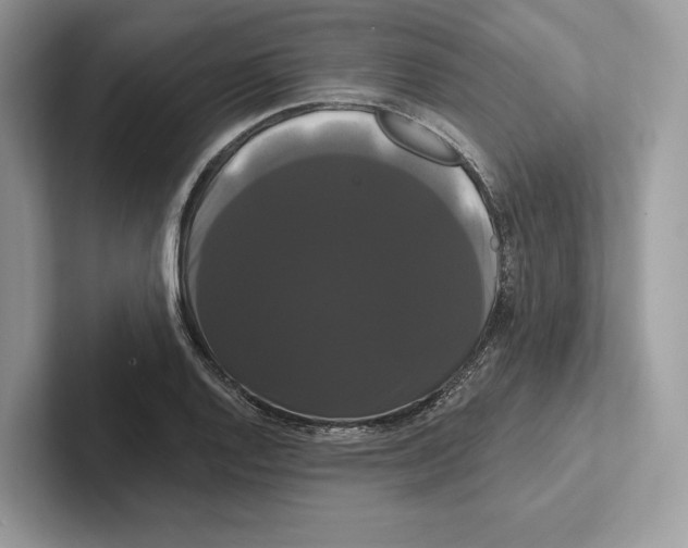 X0000100921128200807221110