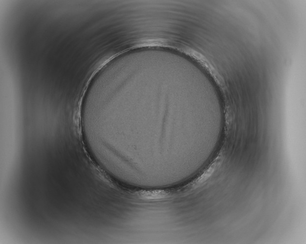 X0000100921129200807221110