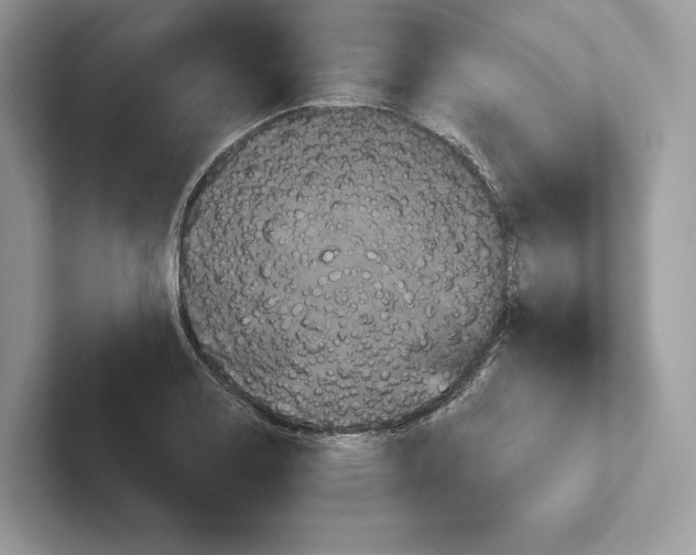X0000100921130200807221110