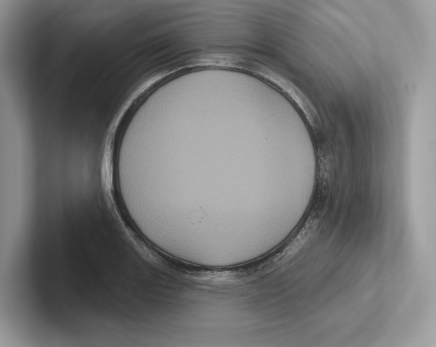 X0000100921131200807221110