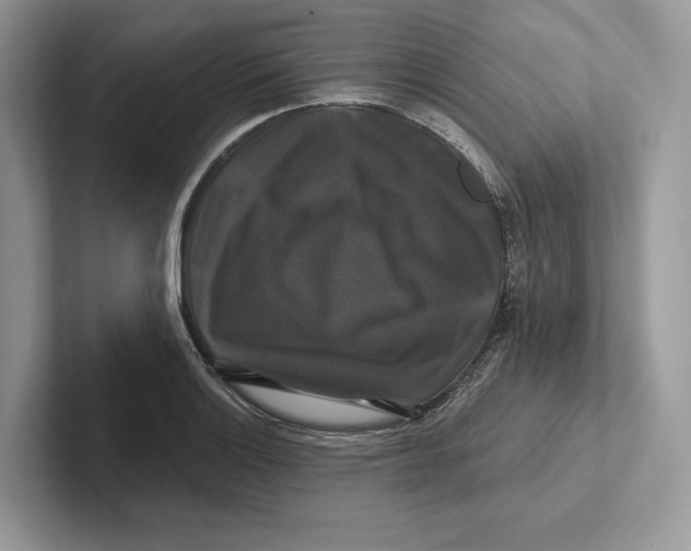 X0000100921132200807221110