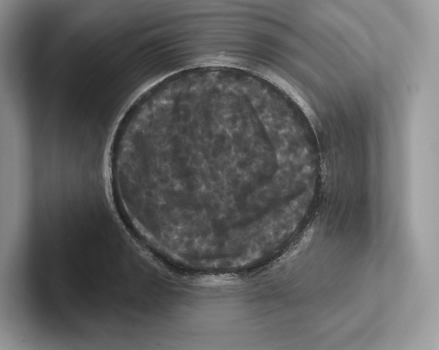 X0000100921133200807221110