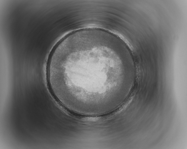 X0000100921134200807221110