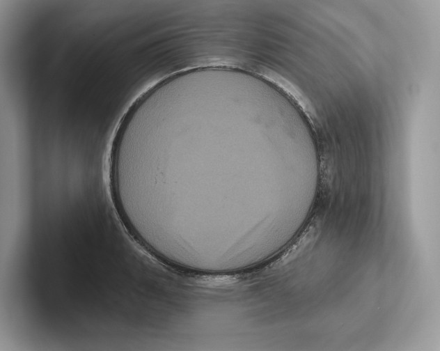 X0000100921135200807221110