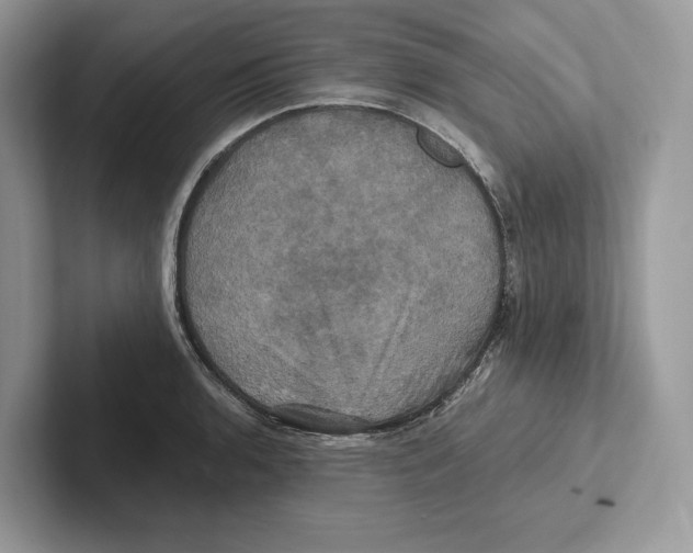X0000100921136200807221110