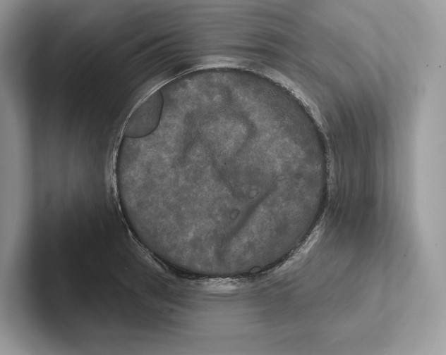 X0000100921137200807221110