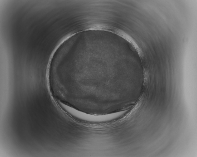 X0000100921138200807221110